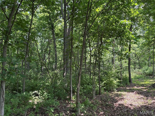 549 Birkhead Rd, Winfield, MO 63389