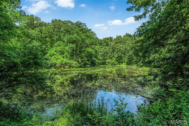 549 Birkhead Rd, Winfield, MO 63389