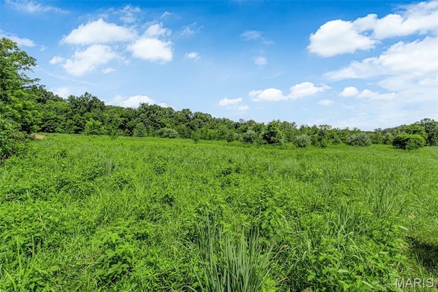 549 Birkhead Rd, Winfield, MO 63389