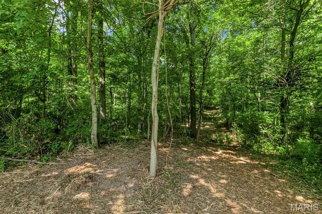 549 Birkhead Rd, Winfield, MO 63389