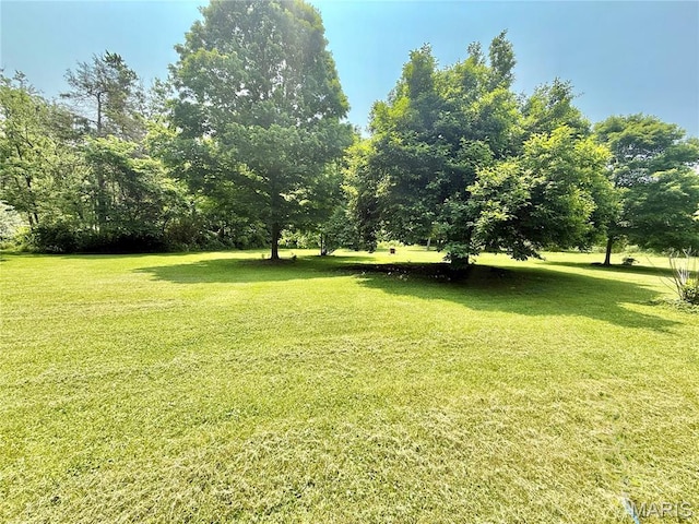 720 S Main St, Arcadia, MO 63621 - view of grassy yard