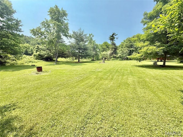720 S Main St, Arcadia, MO 63621 - view of grassy yard