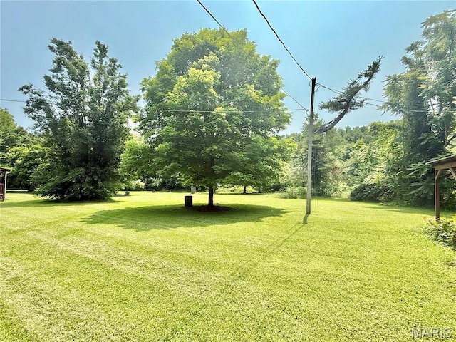 720 S Main St, Arcadia, MO 63621 - view of grassy yard