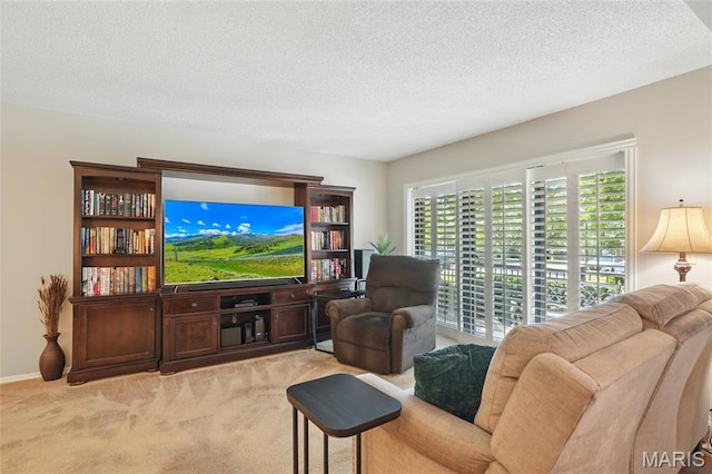 564 Sarah Ln Unit 103, Creve Coeur, MO 63141 - carpeted living area featuring a textured ceiling