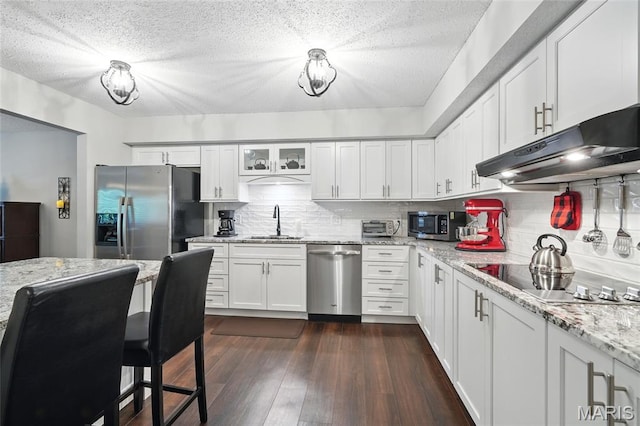 564 Sarah Ln Unit 103, Creve Coeur, MO 63141 - kitchen with appliances with stainless steel finishes, under cabinet range hood, a sink, backsplash, and a textured ceiling