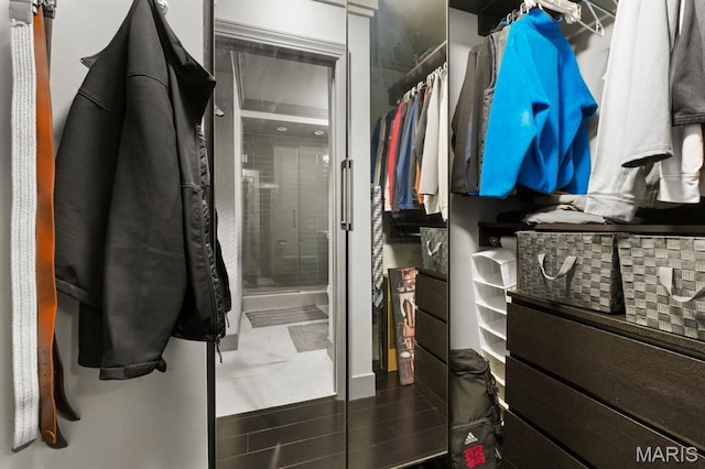 4466 W Pine Blvd Unit 6A, Saint Louis, MO 63108 - view of spacious closet