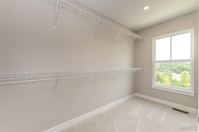8923 Gateway Hts Unit 94-805, Richmond Heights, MO 63144 - walk in closet with light carpet