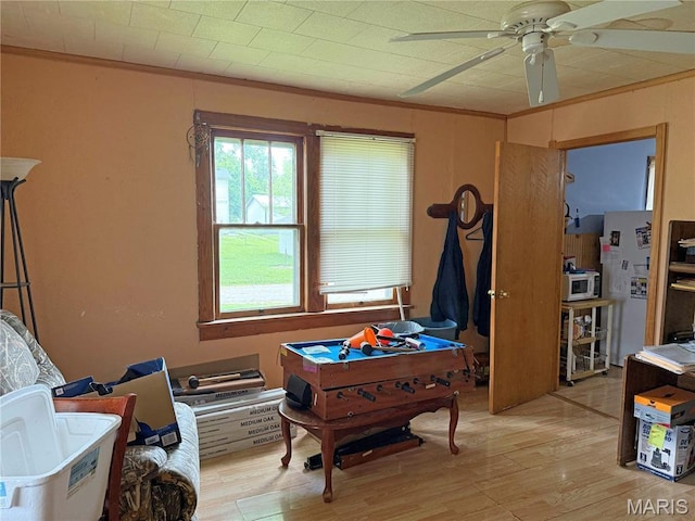 201 Kaskaskia, Ruma, IL 62278 - rec room featuring a ceiling fan, light wood-type flooring, and crown molding