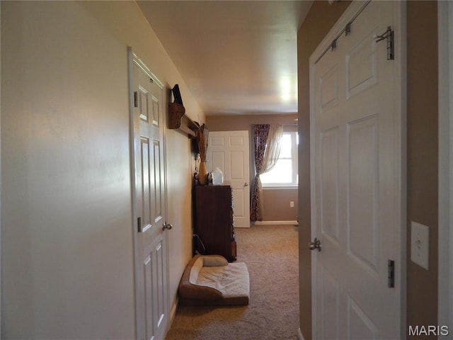 6230 Cuivre Ford Rd, Troy, MO 63379 - corridor with carpet floors and baseboards