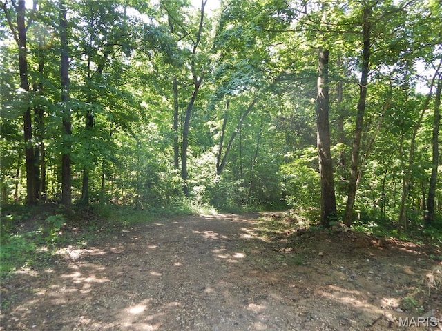 6230 Cuivre Ford Rd, Troy, MO 63379 - view of wooded area
