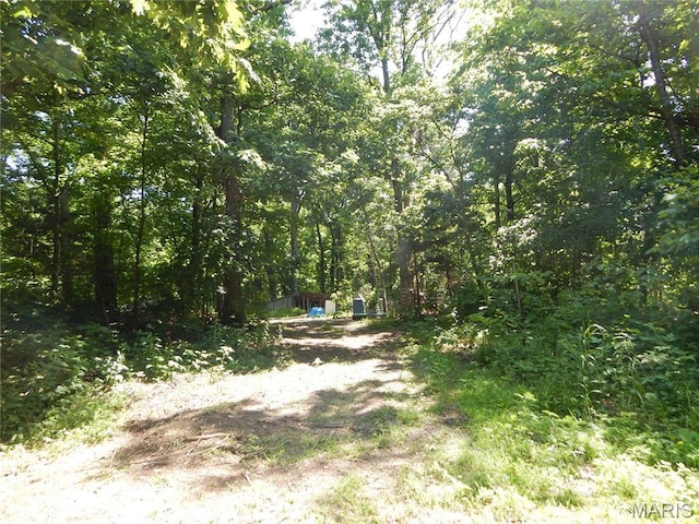 6230 Cuivre Ford Rd, Troy, MO 63379 - view of dirt / gravel driveway featuring a wooded view