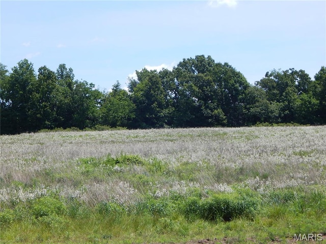 6230 Cuivre Ford Rd, Troy, MO 63379 - view of local wilderness