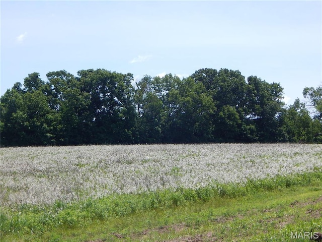 6230 Cuivre Ford Rd, Troy, MO 63379 - view of undeveloped land