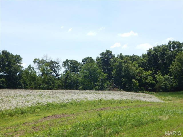 6230 Cuivre Ford Rd, Troy, MO 63379 - view of undeveloped land
