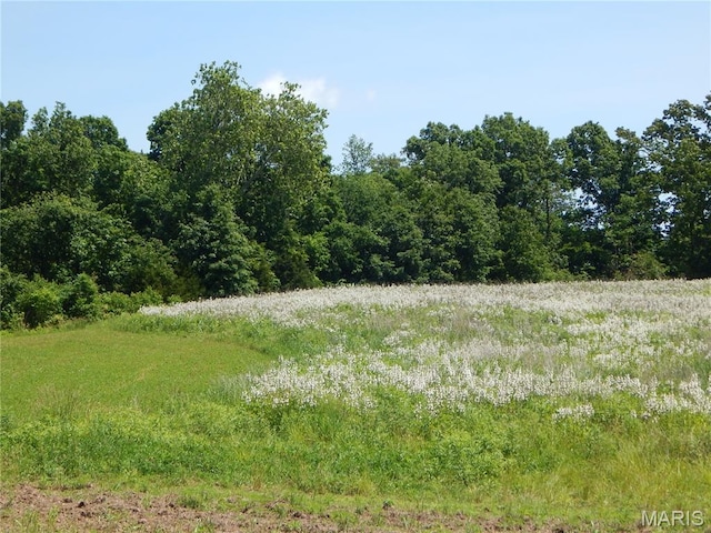 6230 Cuivre Ford Rd, Troy, MO 63379 - view of nature