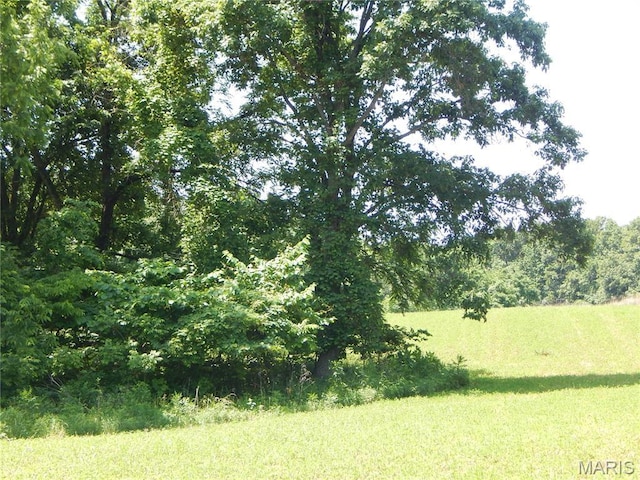 6230 Cuivre Ford Rd, Troy, MO 63379 - view of undeveloped land