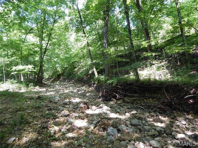 6230 Cuivre Ford Rd, Troy, MO 63379 - view of wooded area
