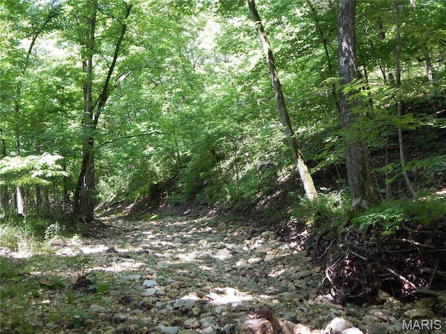 6230 Cuivre Ford Rd, Troy, MO 63379 - view of wooded area