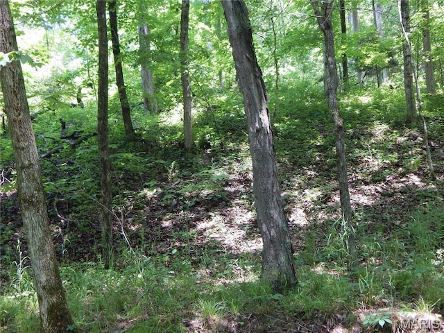 6230 Cuivre Ford Rd, Troy, MO 63379 - view of woods