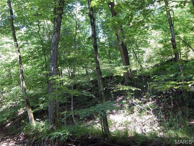 6230 Cuivre Ford Rd, Troy, MO 63379 - view of tree filled area