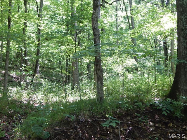 6230 Cuivre Ford Rd, Troy, MO 63379 - view of woods