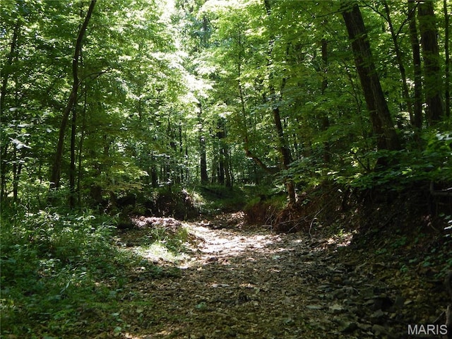 6230 Cuivre Ford Rd, Troy, MO 63379 - view of wooded area