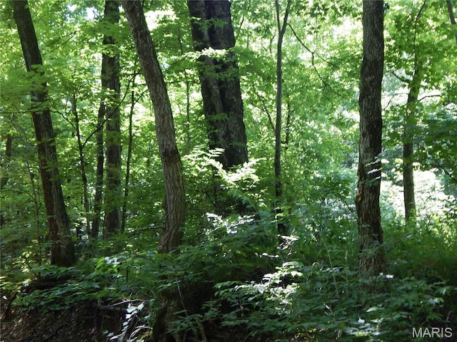6230 Cuivre Ford Rd, Troy, MO 63379 - view of woods