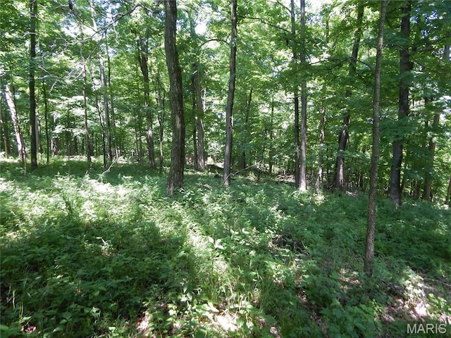 6230 Cuivre Ford Rd, Troy, MO 63379 - view of wooded area