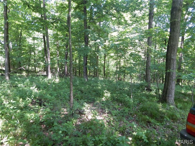 6230 Cuivre Ford Rd, Troy, MO 63379 - view of tree filled area