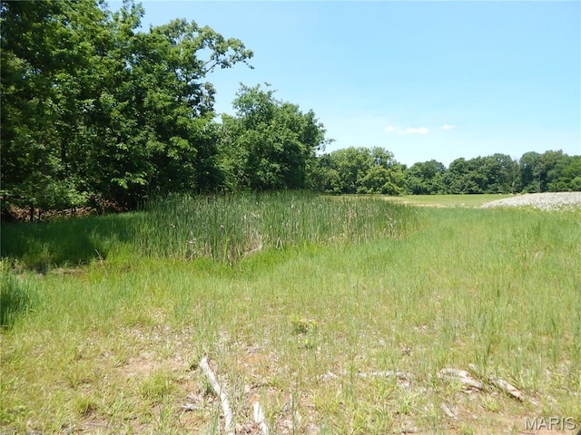 6230 Cuivre Ford Rd, Troy, MO 63379 - view of tree filled area