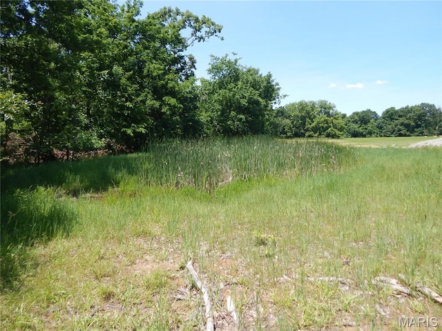 6230 Cuivre Ford Rd, Troy, MO 63379 - view of nature