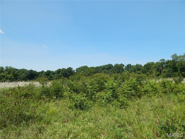 6230 Cuivre Ford Rd, Troy, MO 63379 - view of local wilderness