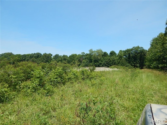 6230 Cuivre Ford Rd, Troy, MO 63379 - view of woods
