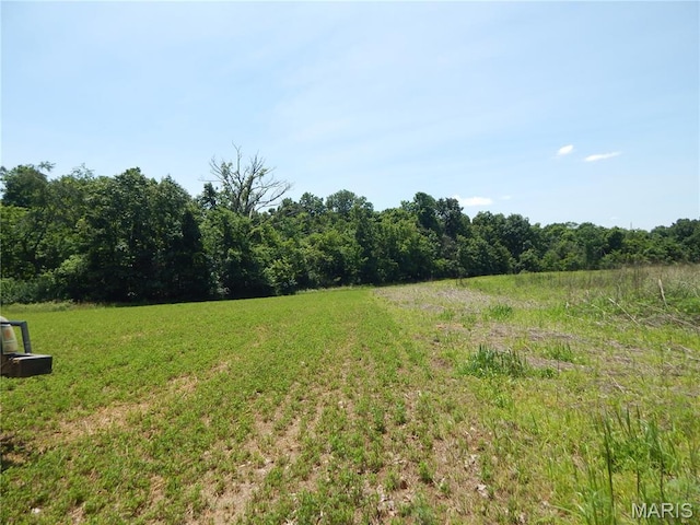 6230 Cuivre Ford Rd, Troy, MO 63379 - view of grassy yard with a view of trees