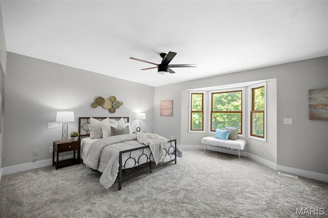 1735 Wilmer Rd, Wentzville, MO 63385 - photo 23