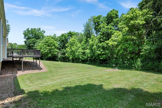1735 Wilmer Rd, Wentzville, MO 63385 - photo 36