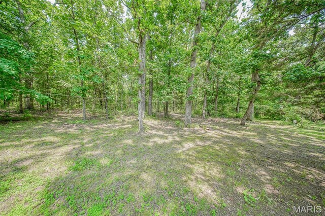 10920 Timber Dr, Rolla, MO 65401 - photo 75