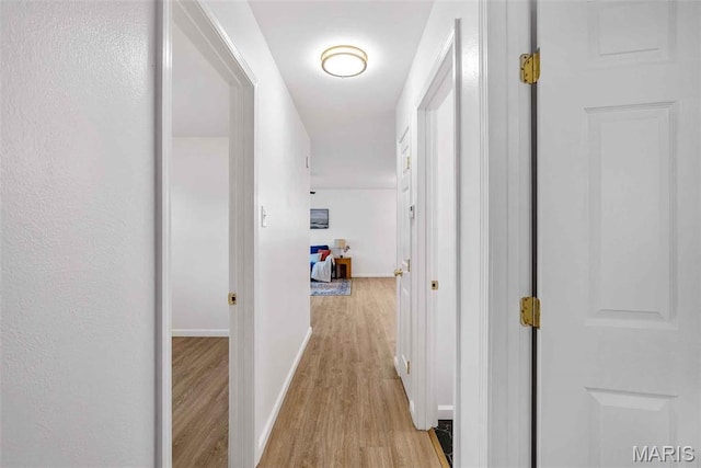 216 Clearpoint Ln, Saint Louis, MO 63123 - hallway featuring light wood-style flooring and baseboards