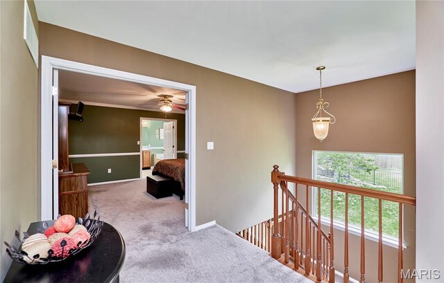2052 Peine Frst, Wentzville, MO 63385 - hallway featuring carpet flooring and an upstairs landing