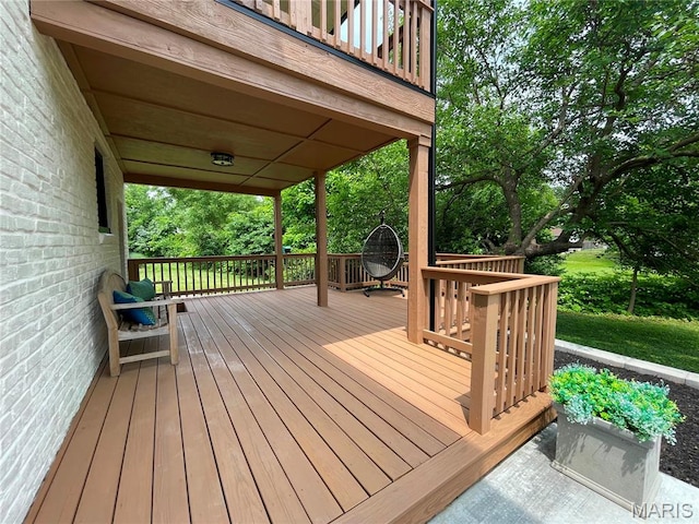 323 E Clinton Pl, Kirkwood, MO 63122 - photo 38