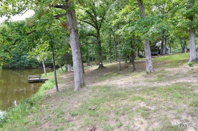 10 Briarwood Ct, Warrenton, MO 63383 - photo 47