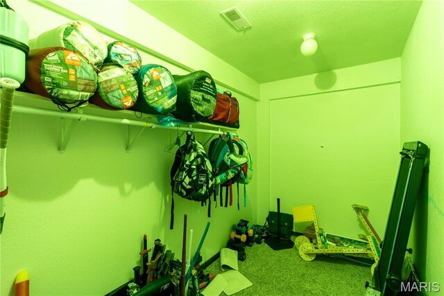 465 County Road 5120, Salem, MO 65560 - view of storage area