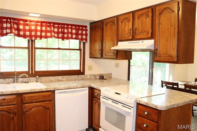313 Pearl Dr, Hillsboro, MO 63050 - photo 17