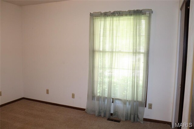 313 Pearl Dr, Hillsboro, MO 63050 - photo 21