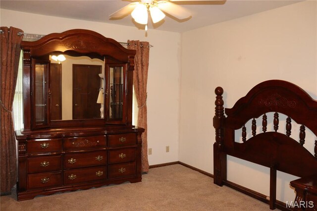 313 Pearl Dr, Hillsboro, MO 63050 - photo 22