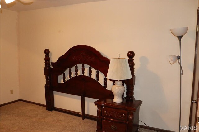 313 Pearl Dr, Hillsboro, MO 63050 - photo 23
