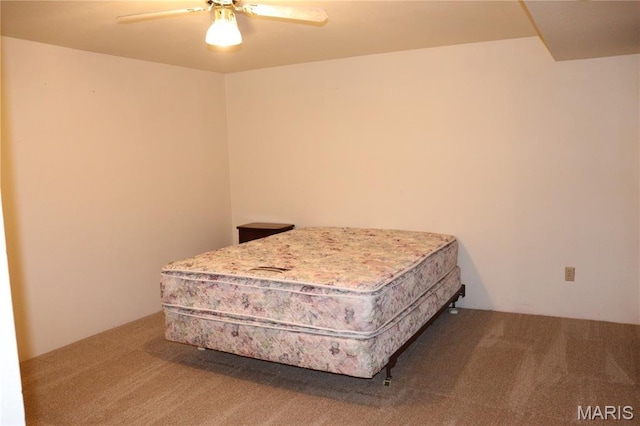 313 Pearl Dr, Hillsboro, MO 63050 - photo 30