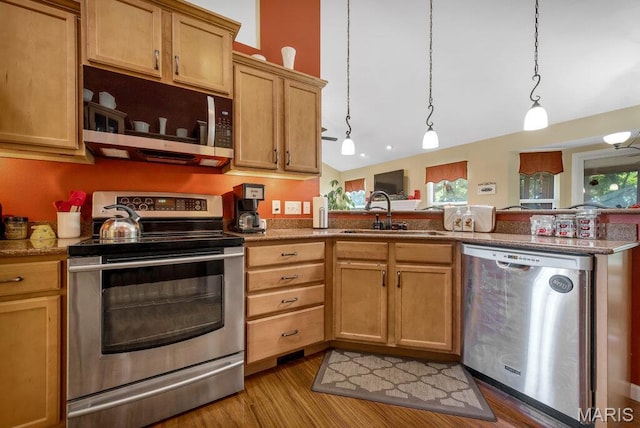 1020 Oak Creek Ln, Waterloo, IL 62298 - kitchen featuring appliances with stainless steel finishes, a sink, a peninsula, light wood finished floors, and healthy amount of natural light