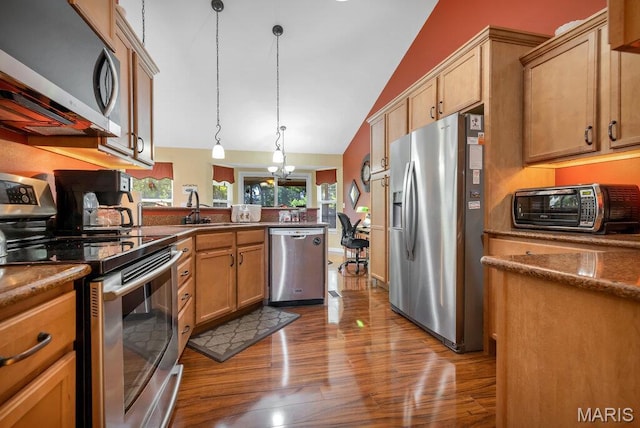 1020 Oak Creek Ln, Waterloo, IL 62298 - kitchen featuring stainless steel appliances, lofted ceiling, wood finished floors, a peninsula, and decorative light fixtures