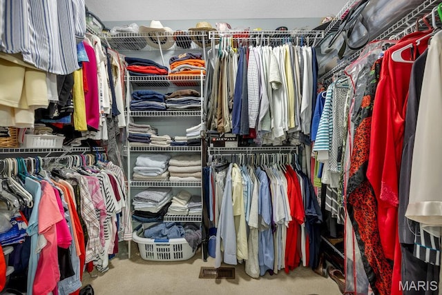 1020 Oak Creek Ln, Waterloo, IL 62298 - walk in closet featuring carpet